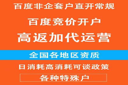 SEM营销案例：电商平台的流量密码